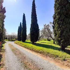 appartamento-il-palagio.it-tuscanyhotel.com/